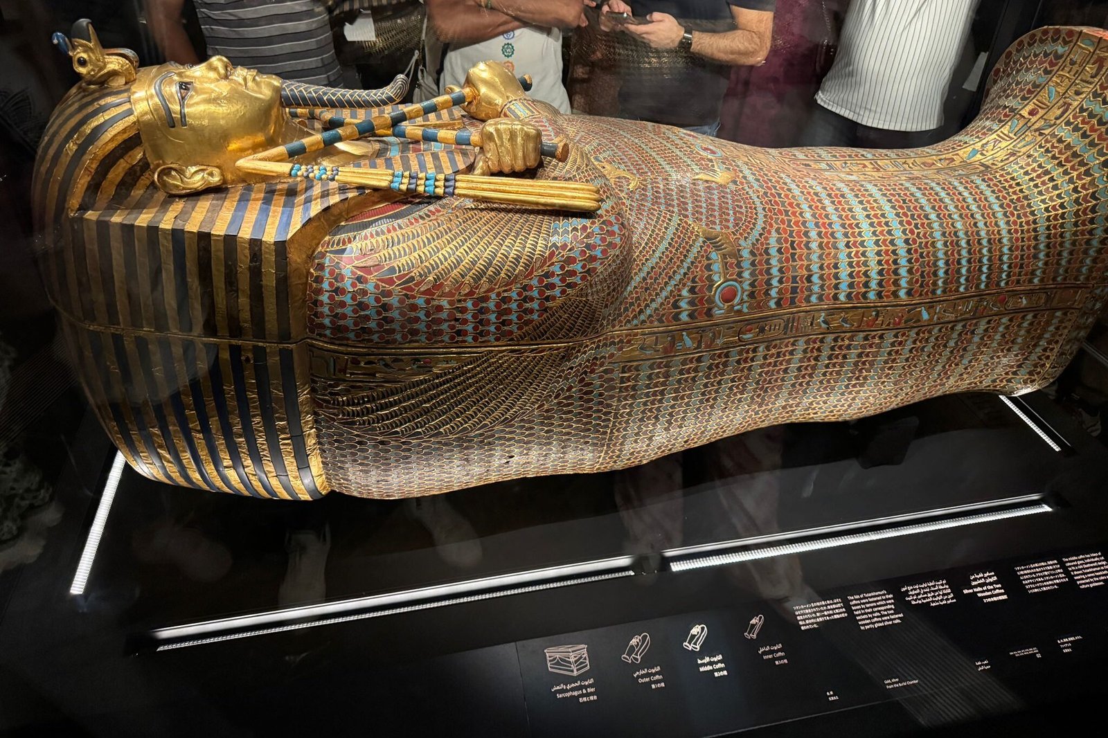 whatsapp image 2026 01 25 at 11.59.44 pm (2)