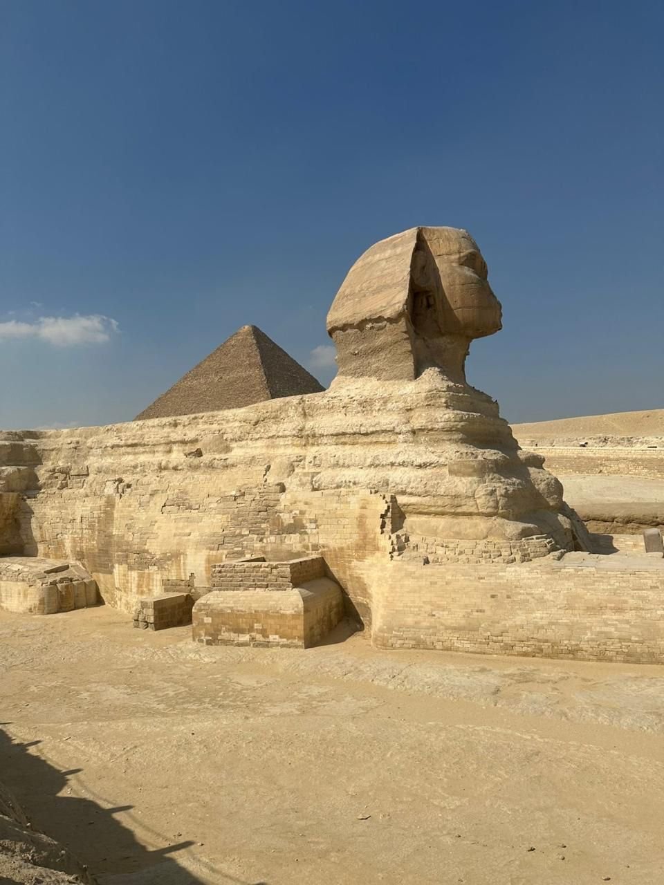 whatsapp image 2026 01 26 at 12.03.11 am